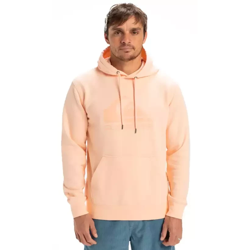 Sudadera Quiksilver Comp Logo Peach Parfait