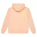 Sudadera Quiksilver Comp Logo Peach Parfait
