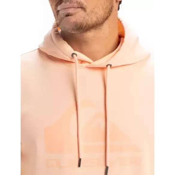 Sweatshirt Quiksilver Comp Logo Peach Parfait