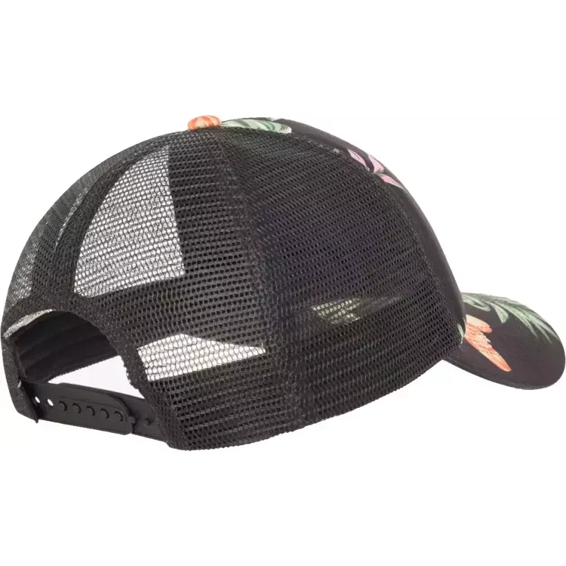 Cap Roxy Morning Anthracite Island Escape