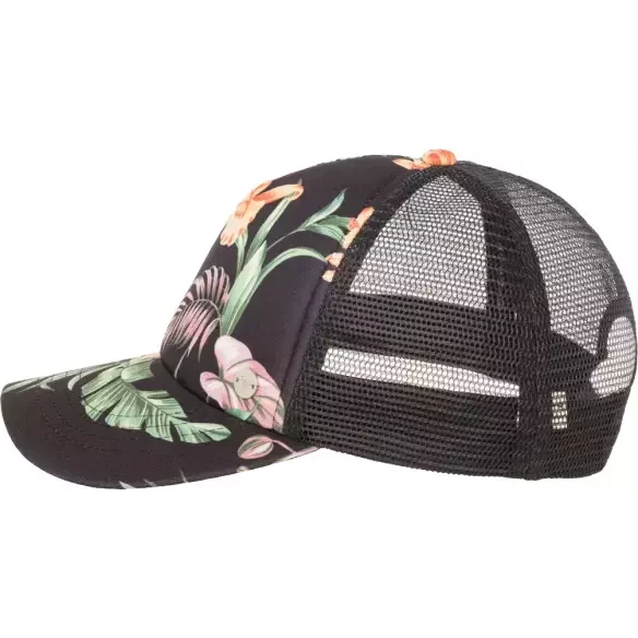 Cap Roxy Morning Anthracite Island Escape