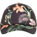 Cap Roxy Morning Anthracite Island Escape