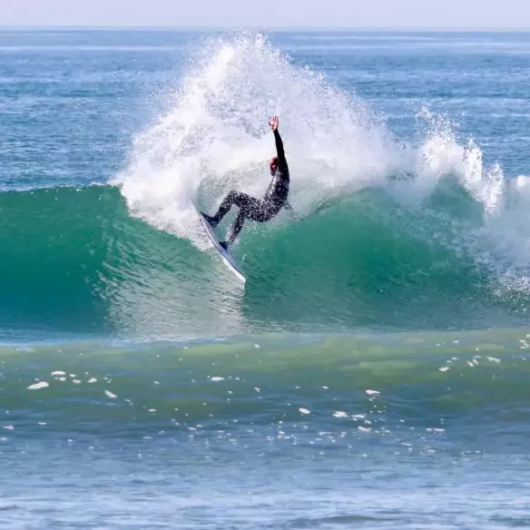 Surfbrett Firewire Taylor Jensen Twinzer