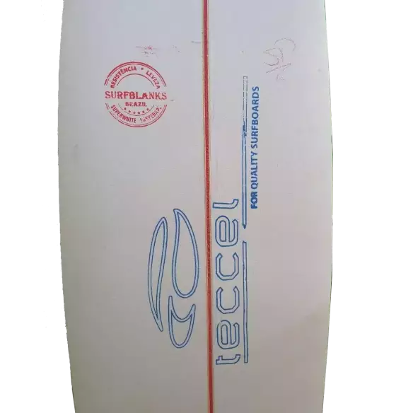 Foam Teccel Fish