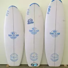 Pain de mousse Teccel Fish 2