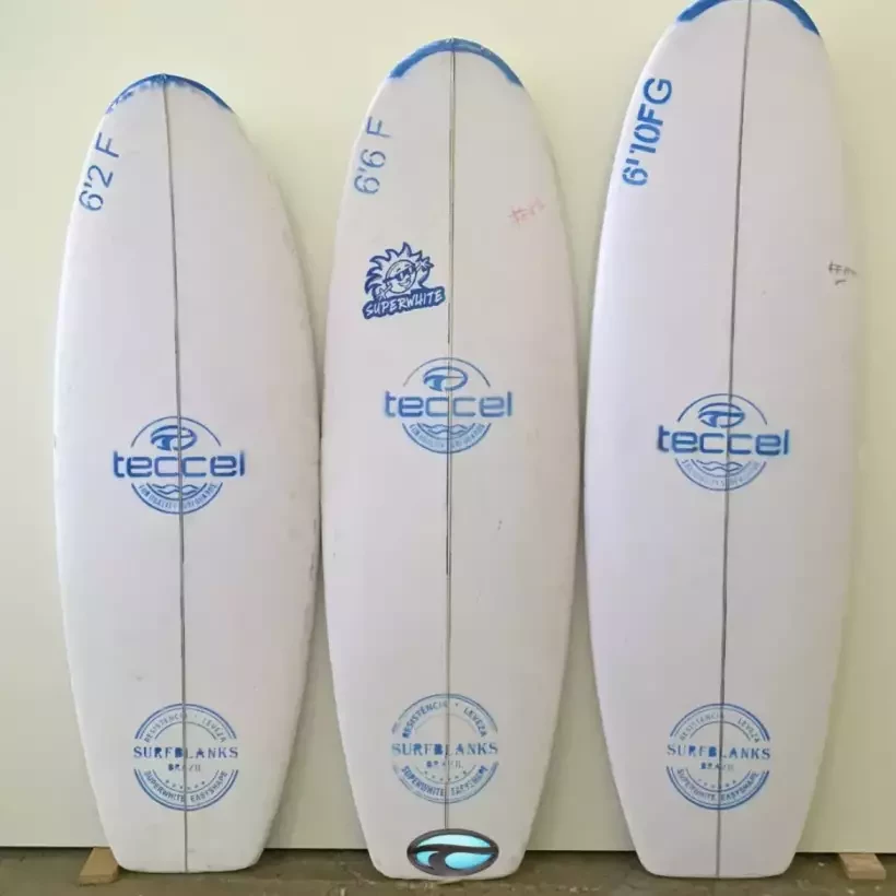Pain de mousse Teccel Fish
