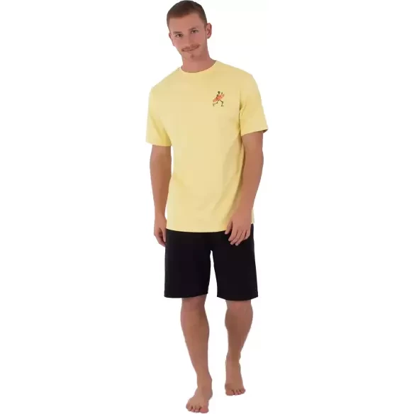 Camiseta UV Hurley Flamengue SS Nectarine