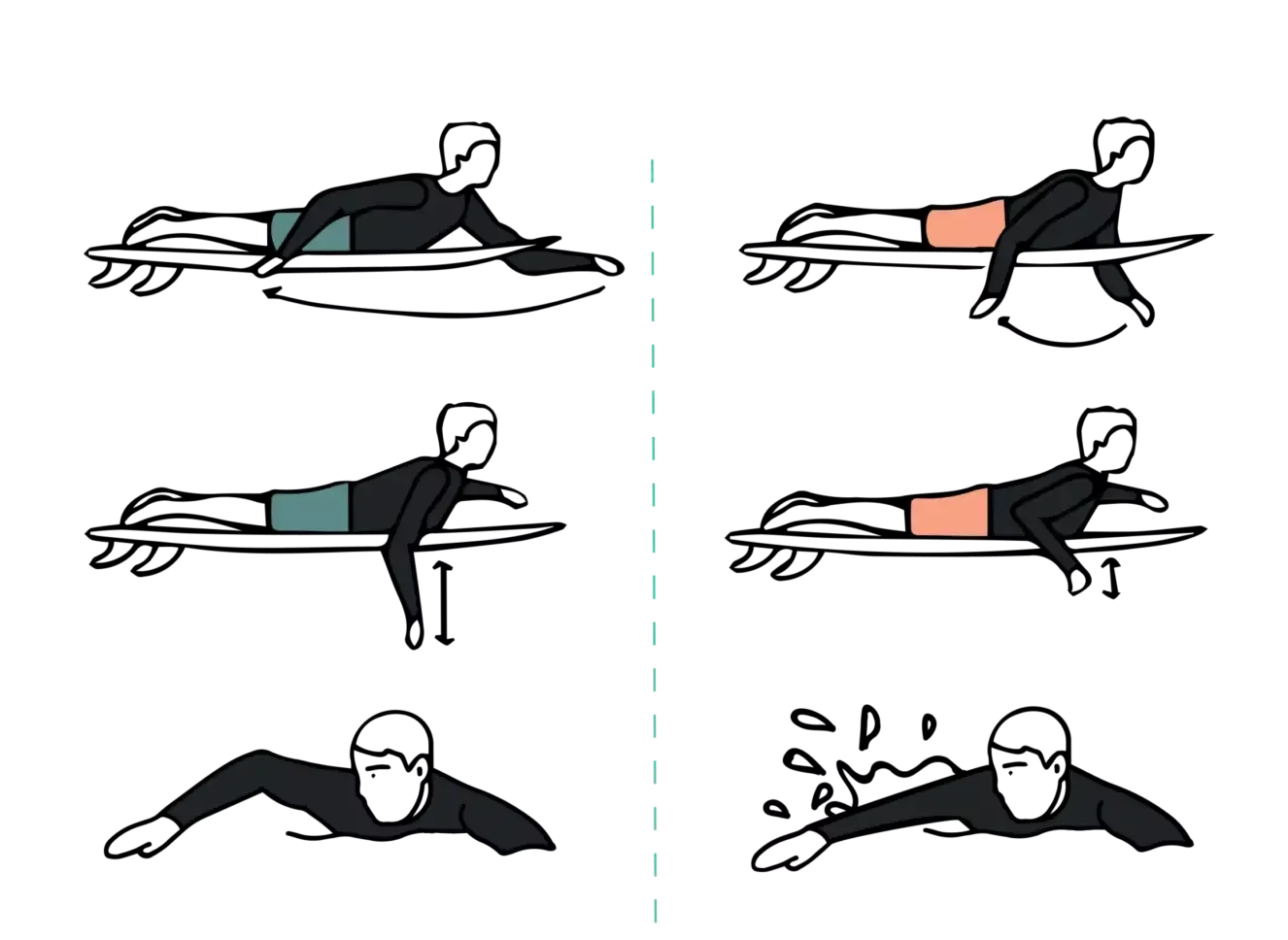 Illustration montrant une technique de posture de planche sur le ventre et sur le dos, avec une ligne centrale pointillée séparant les deux côtés. On y voit deux positions de bras et de jambes, en noir sur fond blanc, avec des zones colorées en bleu faded et peau, indiquant des variations.