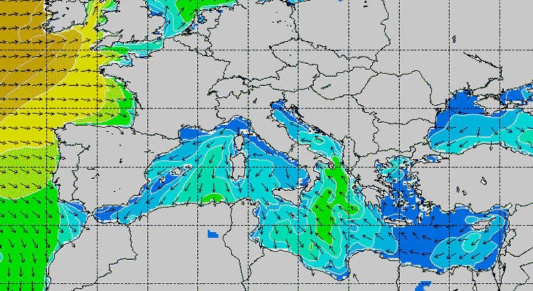 Altezza onde in tempo reale: mappa e previsioni surf